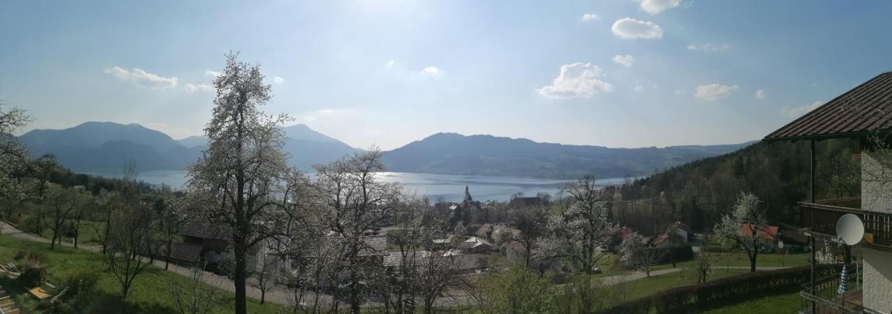 Attersee-Chalet Angermann Familie Spalt Daire Steinbach am Attersee Dış mekan fotoğraf