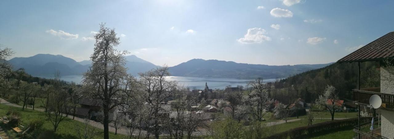 Attersee-Chalet Angermann Familie Spalt Steinbach am Attersee Dış mekan fotoğraf
