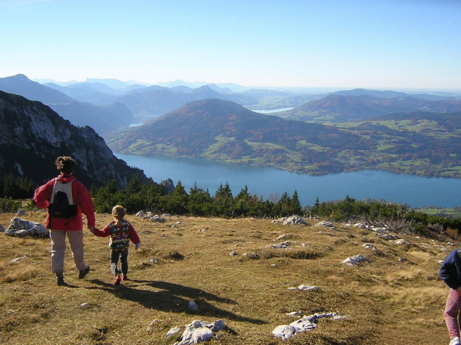 Attersee-Chalet Angermann Familie Spalt Daire Steinbach am Attersee Dış mekan fotoğraf