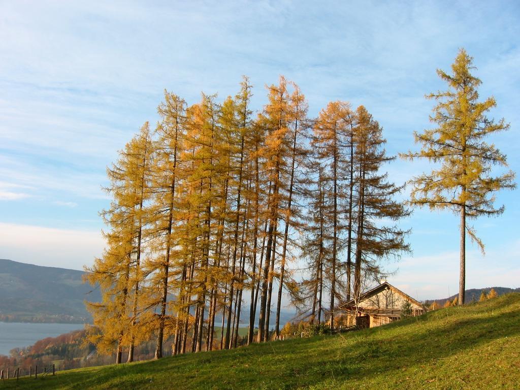 Attersee-Chalet Angermann Familie Spalt Daire Steinbach am Attersee Dış mekan fotoğraf