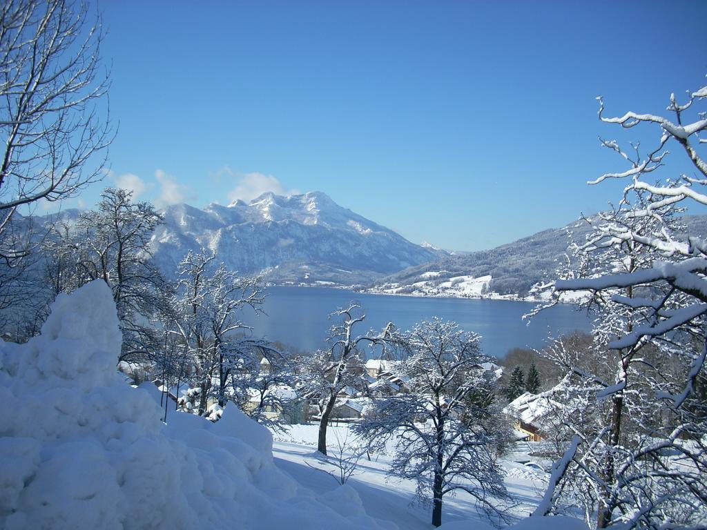 Attersee-Chalet Angermann Familie Spalt Daire Steinbach am Attersee Dış mekan fotoğraf